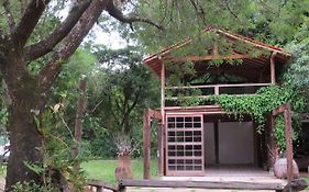 Casa da Arvore
